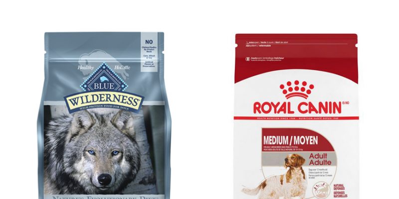 Royal Canin Large Breed Digestive Care Dry Dog Food Yow Pets